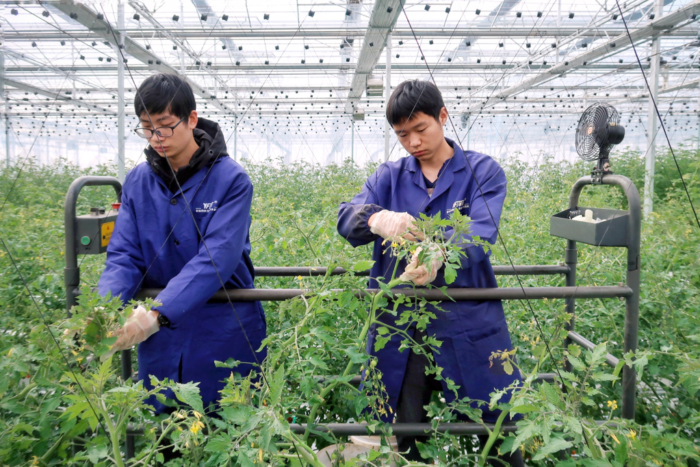 民宿管家研学Bwin必赢注册旅行指导师……越来越多的新职业有了权威“身份证”(图2)